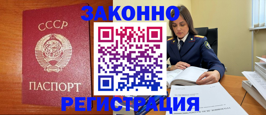 прописка поиск в Мытищах